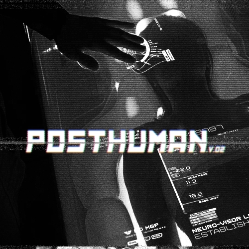 The meme appears to be a screenshot of a video game or simulation, specifically a character's interface or console screen. The text "POSTHUMAN" is prominently displayed in a futuristic, glitchy font, suggesting a sci-fi or cyberpunk theme. The image is likely a humorous or satirical take on the concept of "posthuman" or advanced artificial intelligence.